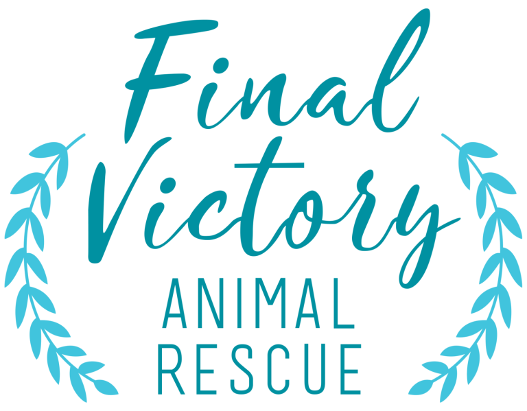 Free Paper Shredding In Columbia SC To Benefit Final Victory Animal