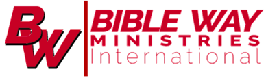 BWMI New Logo
